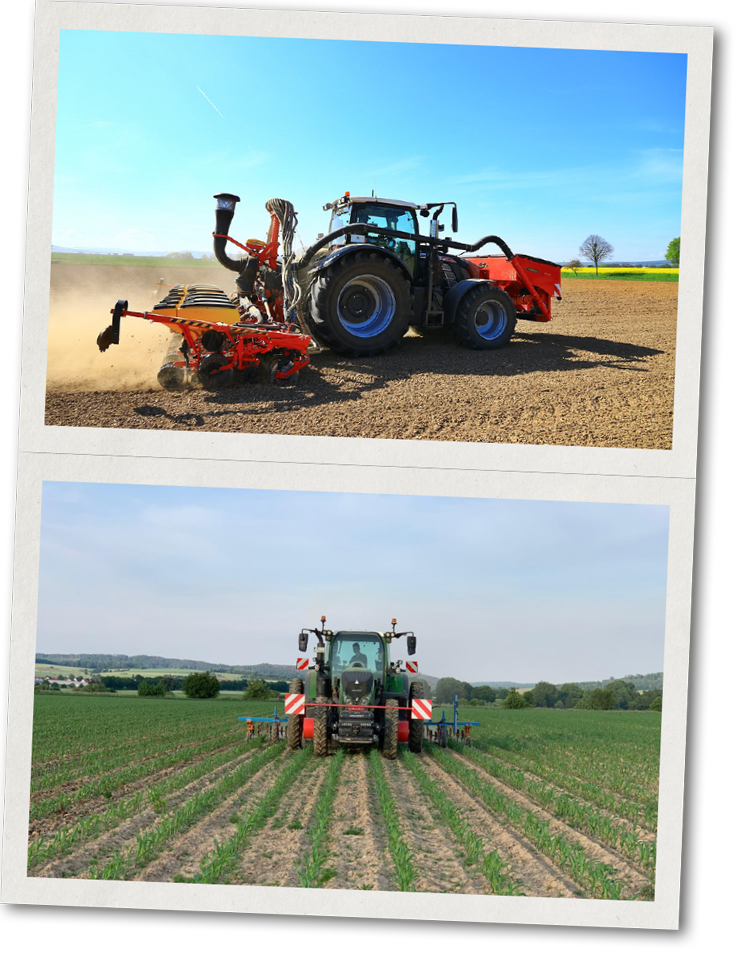 Illers_Leistung_Aussaat