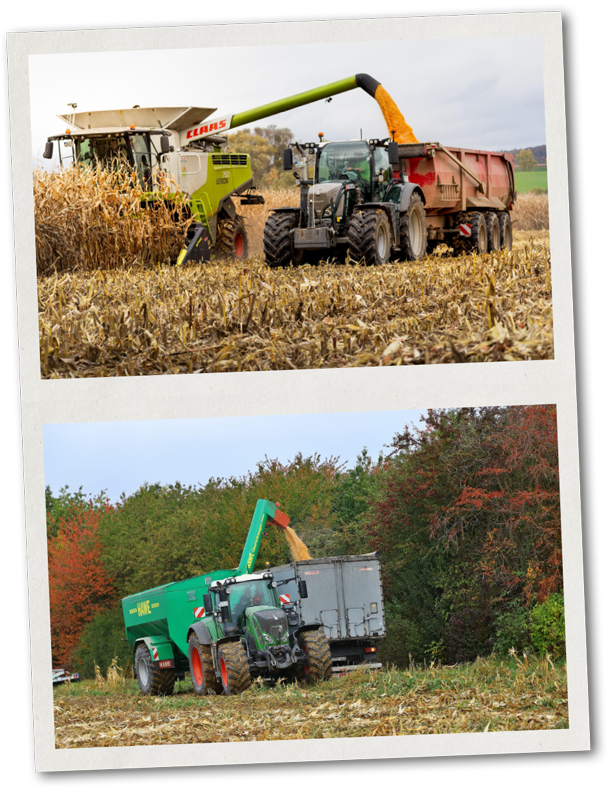 Illers_Leistung_Ernte